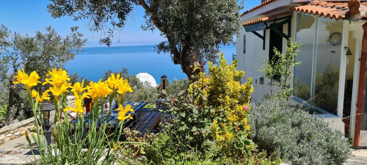 Captain's Kalivia (Skiathos)