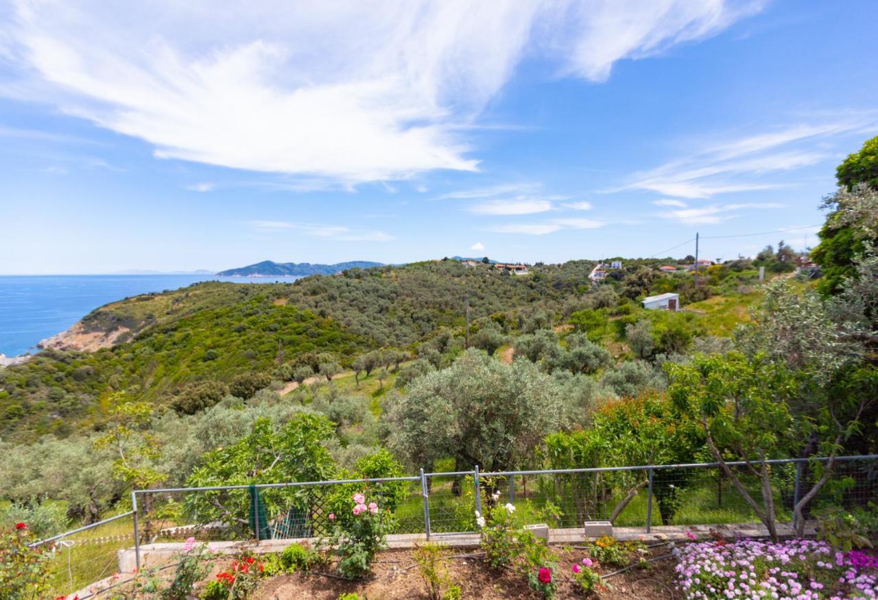 Villa Captain's Kalivia (Skiathos)